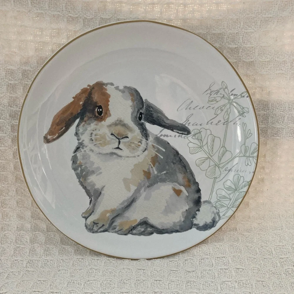 Pier 1 Set Of 4 Bunny Plates 8” Diameter